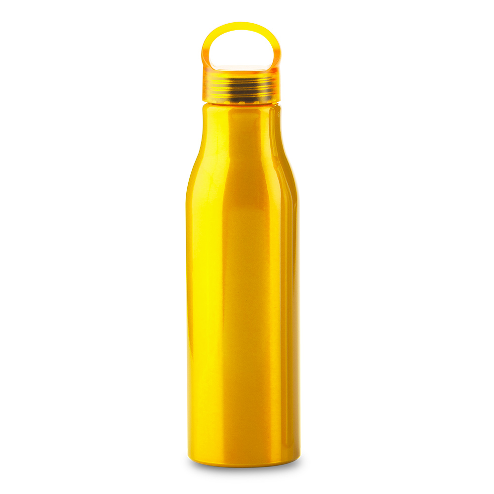 BOTILITO METALICO BARRY 600ML 2
