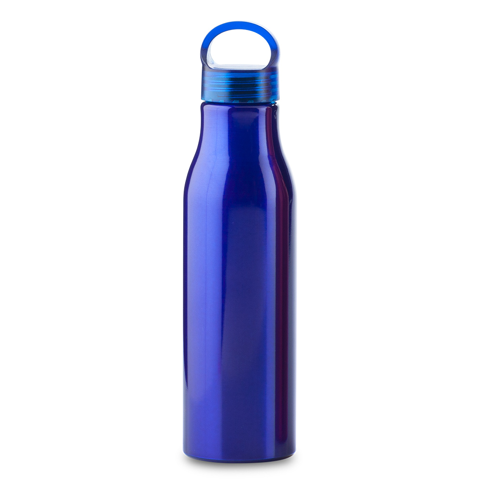 BOTILITO METALICO BARRY 600ML 3