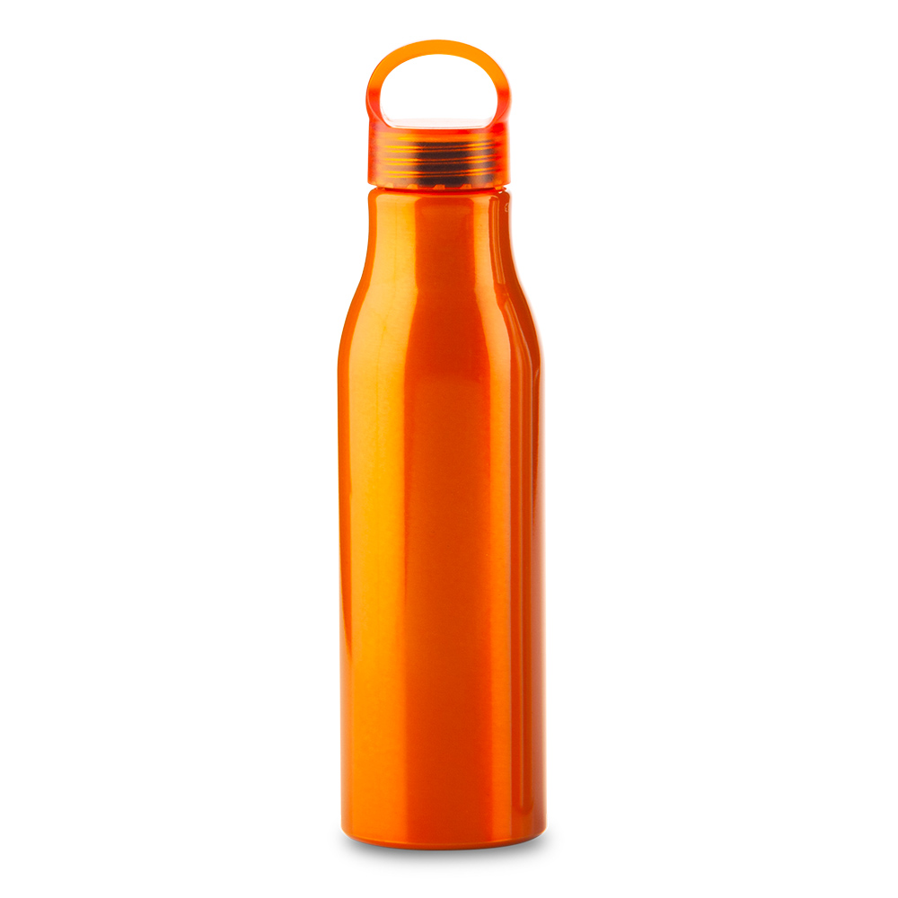 BOTILITO METALICO BARRY 600ML 4