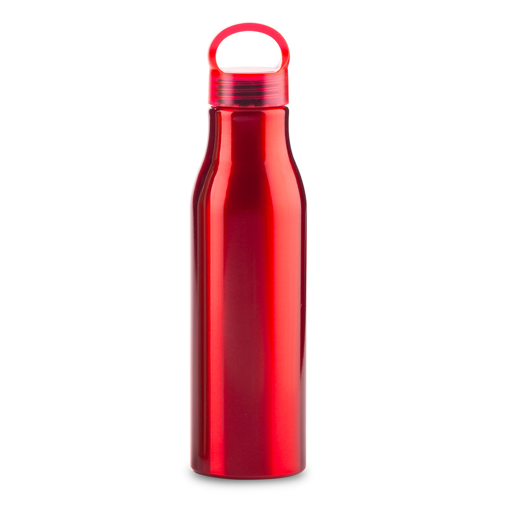 BOTILITO METALICO BARRY 600ML 6