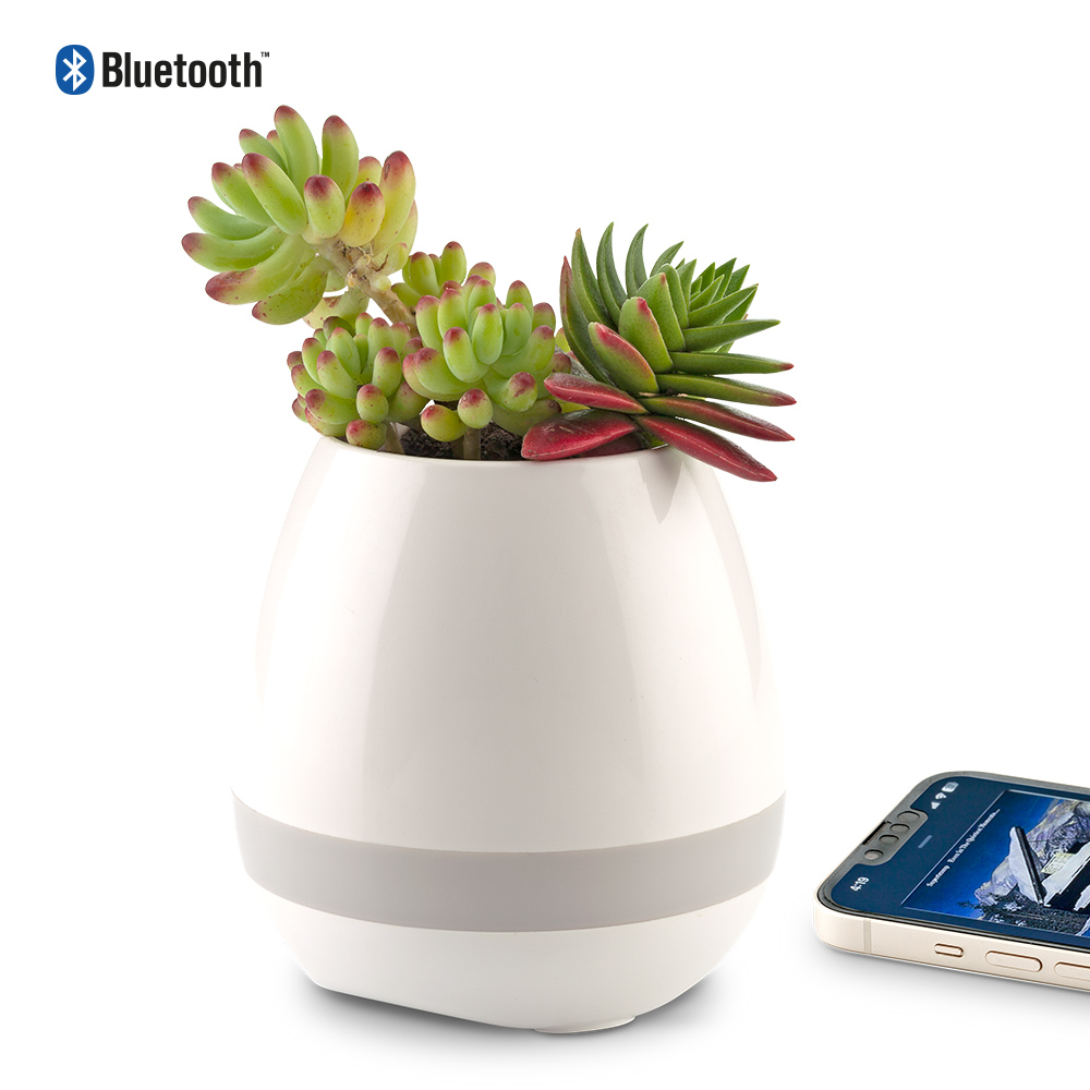 SPEAKER BLUETOOTH PLANT 2