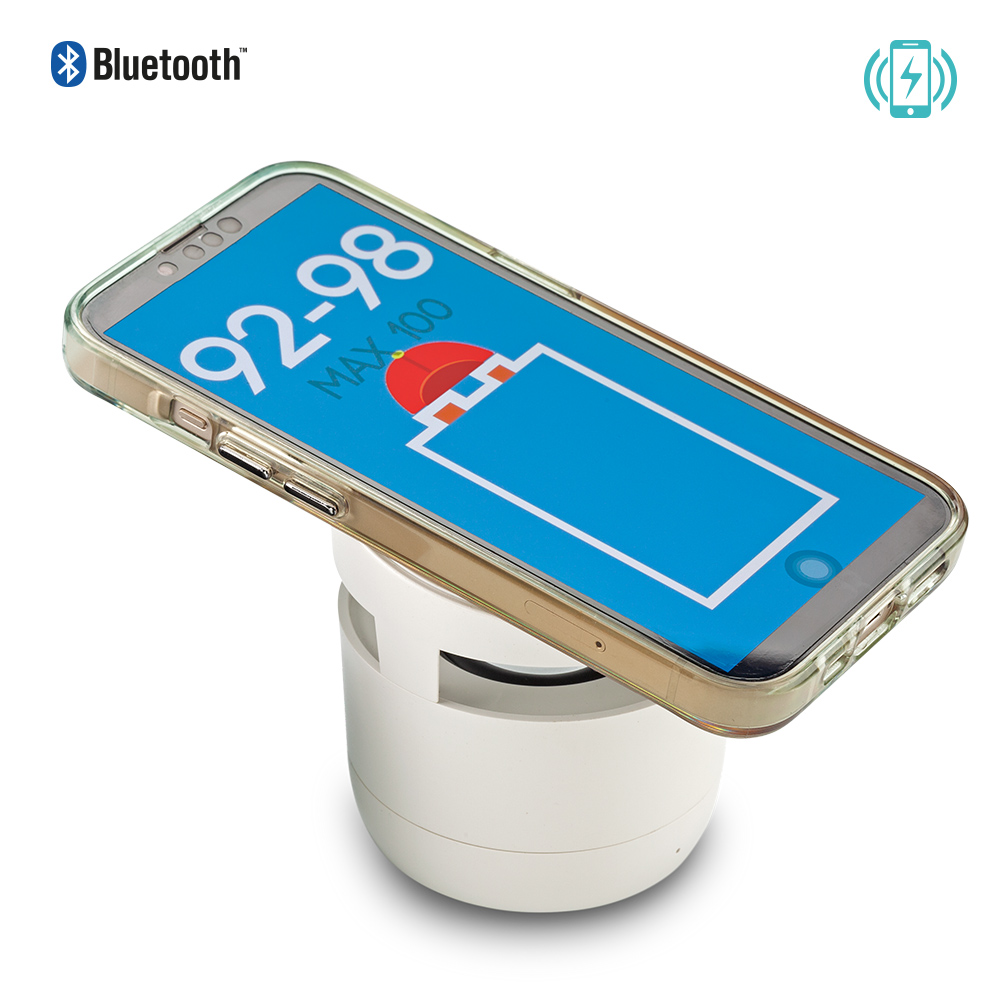 SPEAKER BLUETOOTH WYN 2-1 2