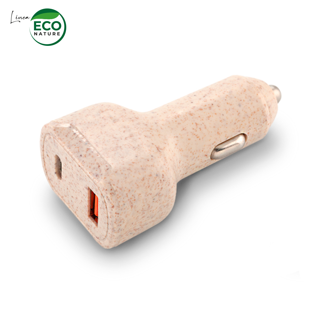 CARGADOR PARA CARRO ECO 2