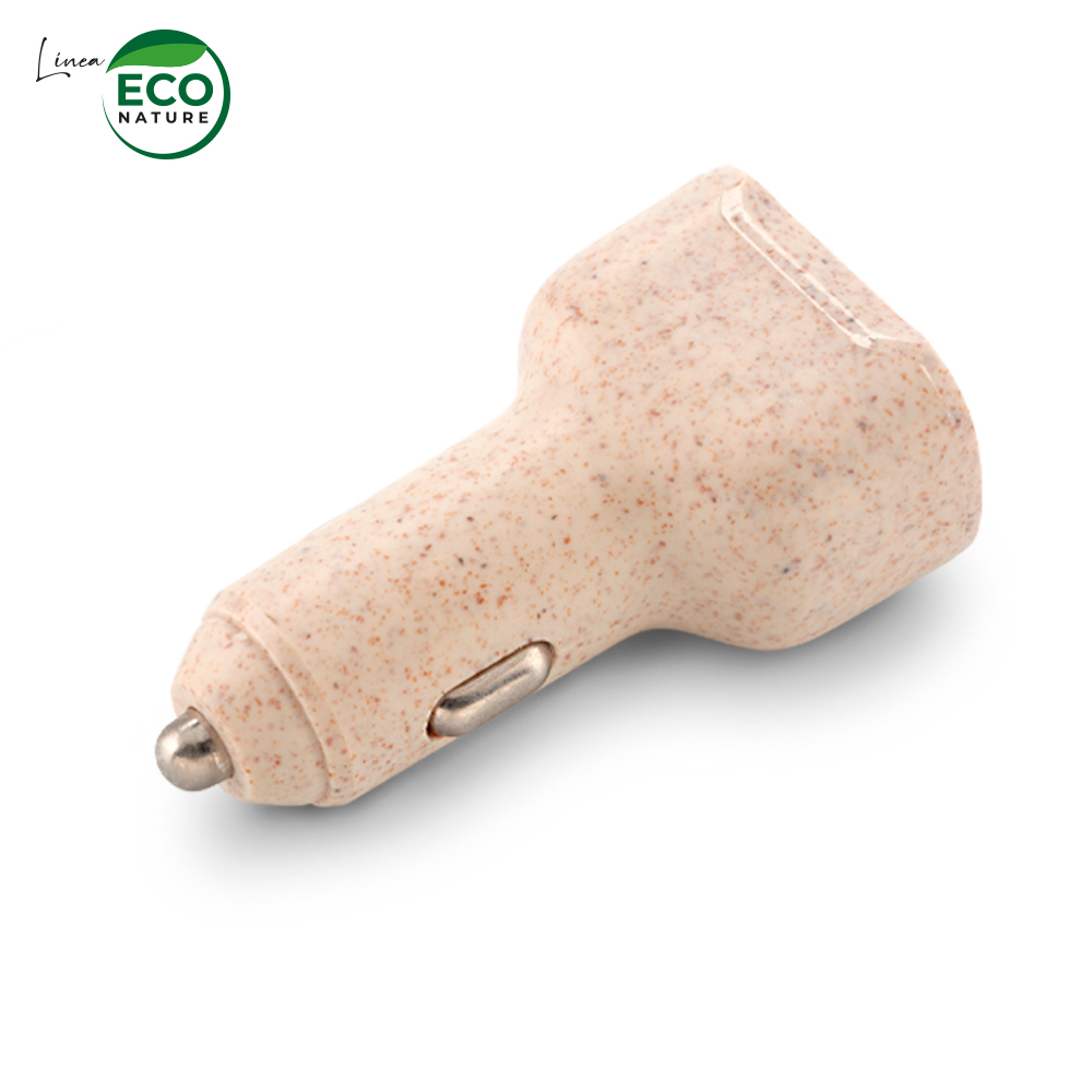 CARGADOR PARA CARRO ECO 3