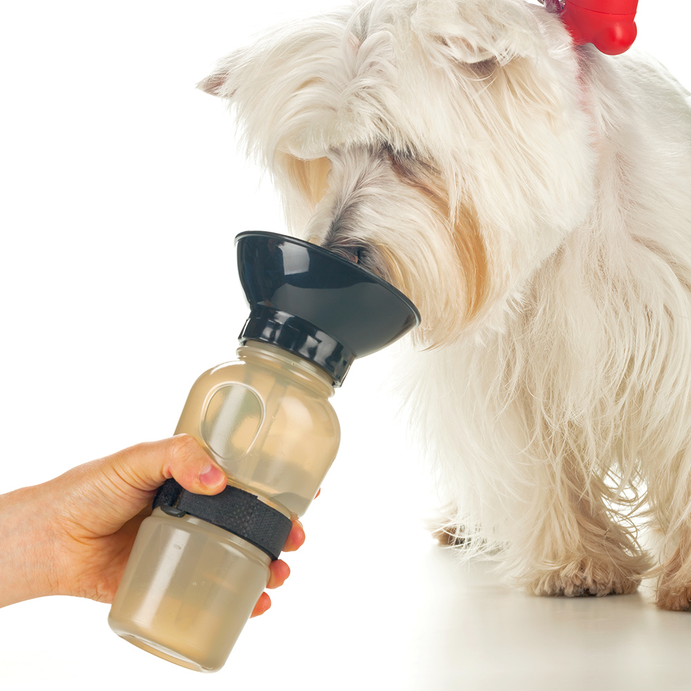 BOTILITO PARA MASCOTAS 580ML 3